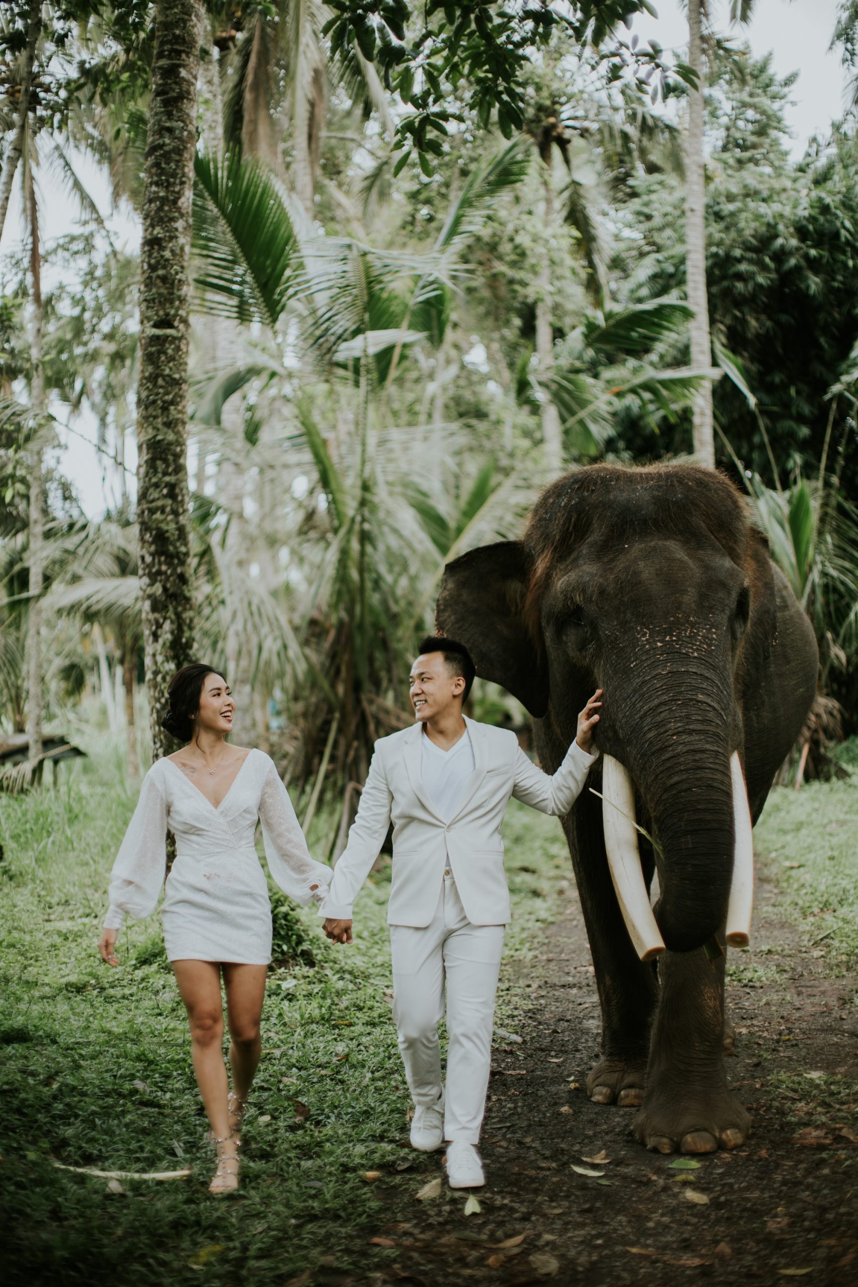 Bali Mason Elephant Park and Lodge